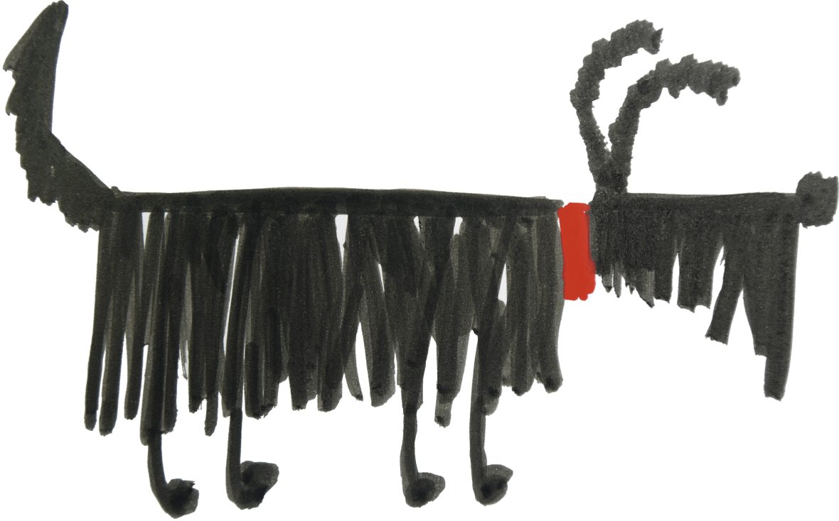 Schwarzer, fransiger Körper mit rotem Halsband. DIY-Look, markanter Schnitt, einfache Farbgestaltung.