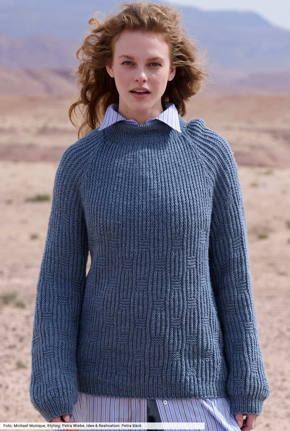 Modellansicht Bild 2: Raglanpulli im Patentmuster