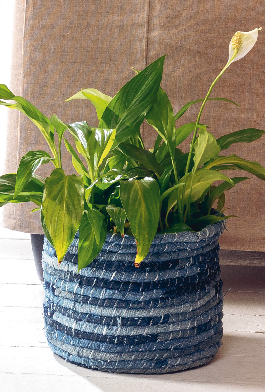 Modellansicht Bild 8: Set aus Teppich und Übertopfen aus recyceltem Jeansstoff