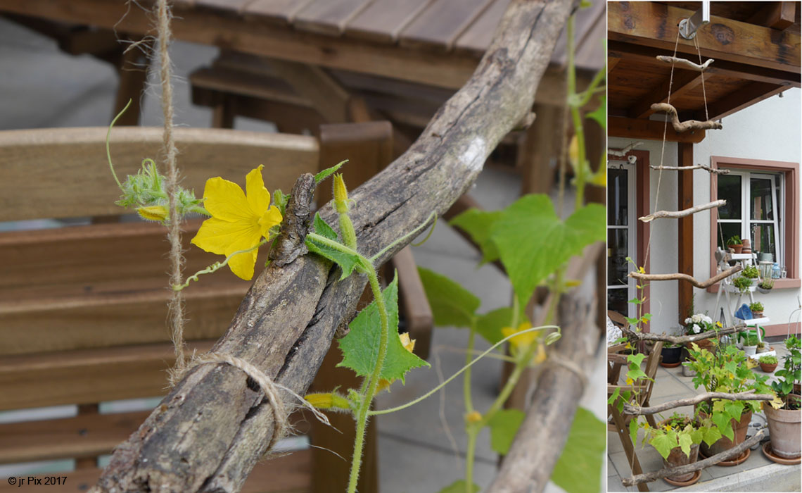 Geflochtene Aststruktur mit gelber Blüte. DIY, rustikal, handgemacht, naturverbunden.