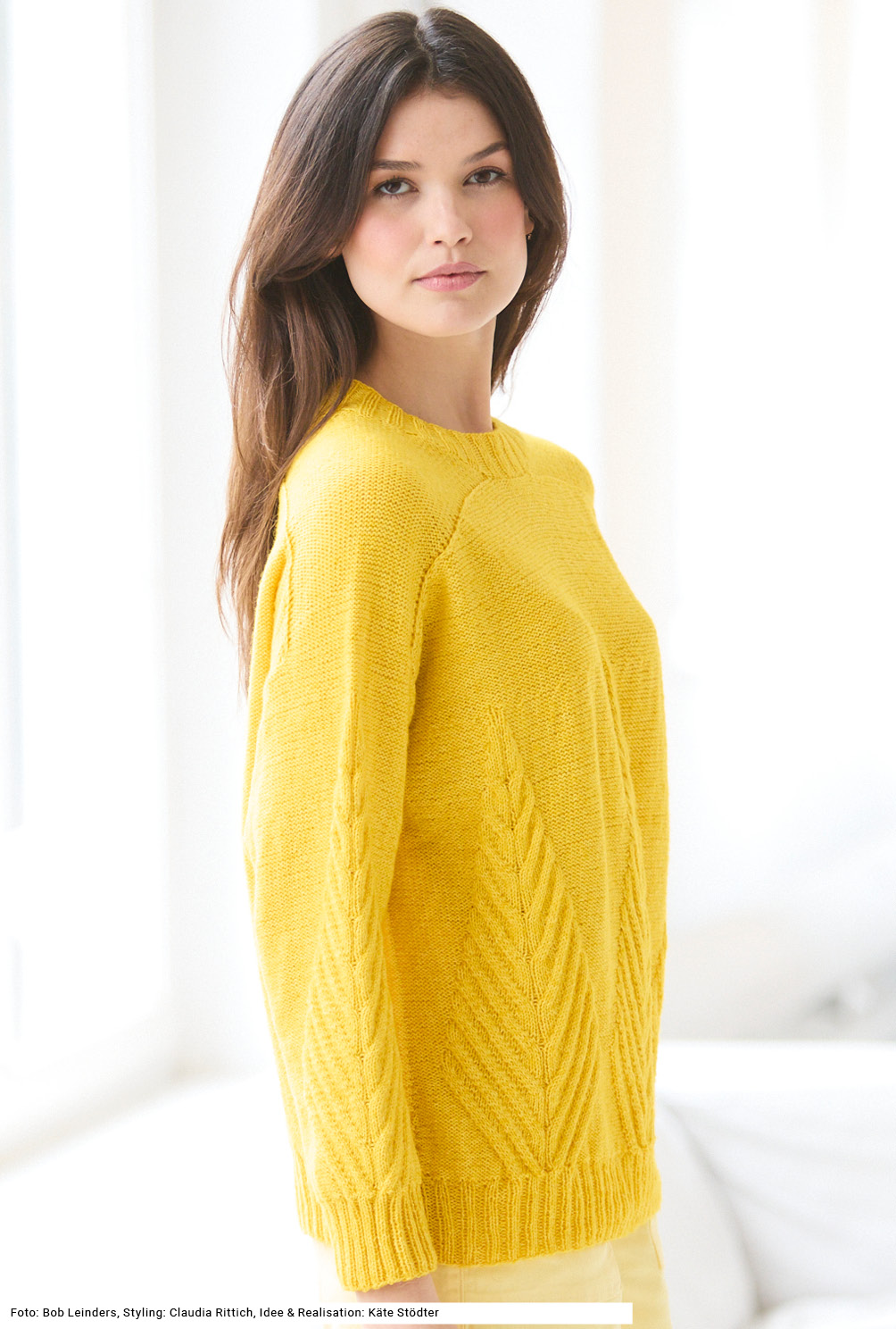 Modellansicht Bild 4: Musterpulli mit Schulterpasse