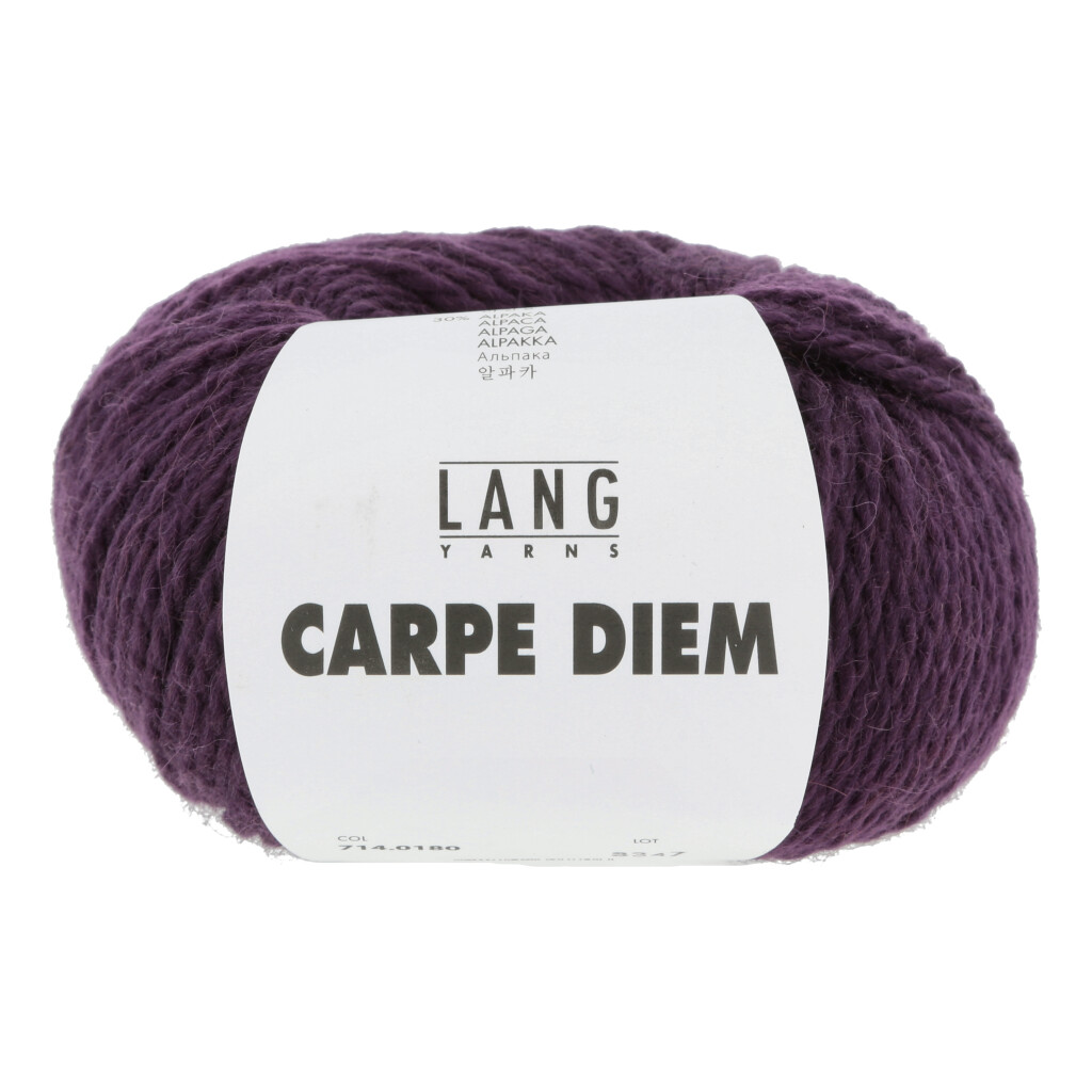 Garnbild LANGYARNS CARPE DIEM Aubergine Nr. 0180