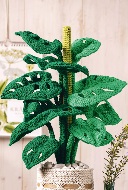 Modellansicht Bild 4: Gehäkelte Monstera, dekorativer Übertopf und passende Platzsets