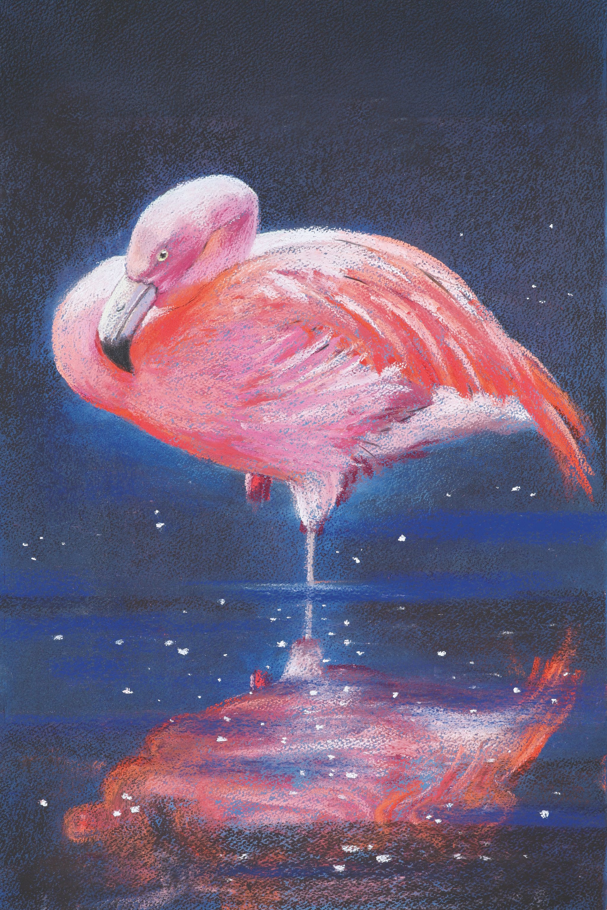 Leuchtend rosa, kunstvoll gemalt, mit zarten weißen Akzenten, reflektierend im Wasser. Modisches Kunstwerk.