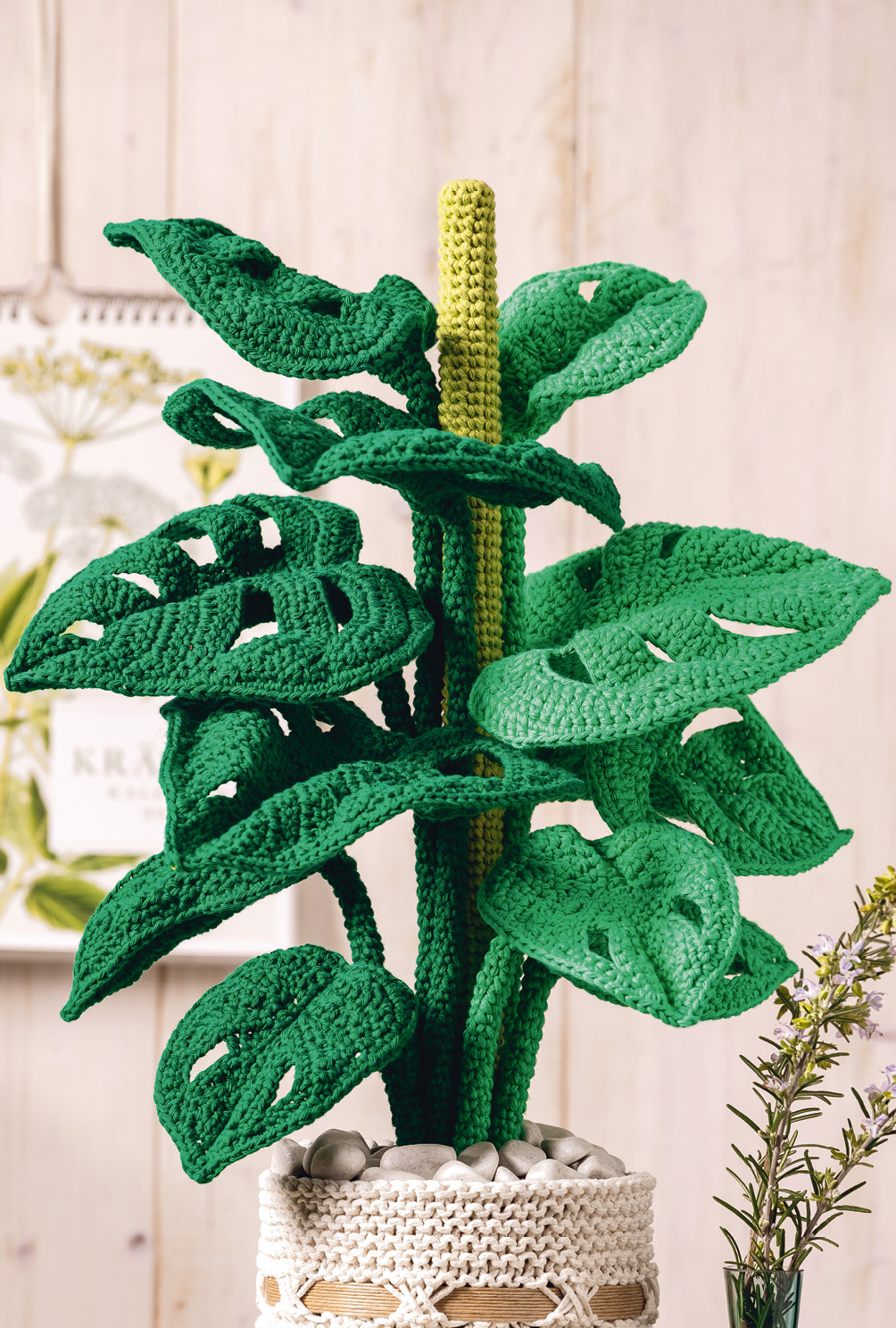 Modellansicht Bild 9: Gehäkelte Monstera, dekorativer Übertopf und passende Platzsets