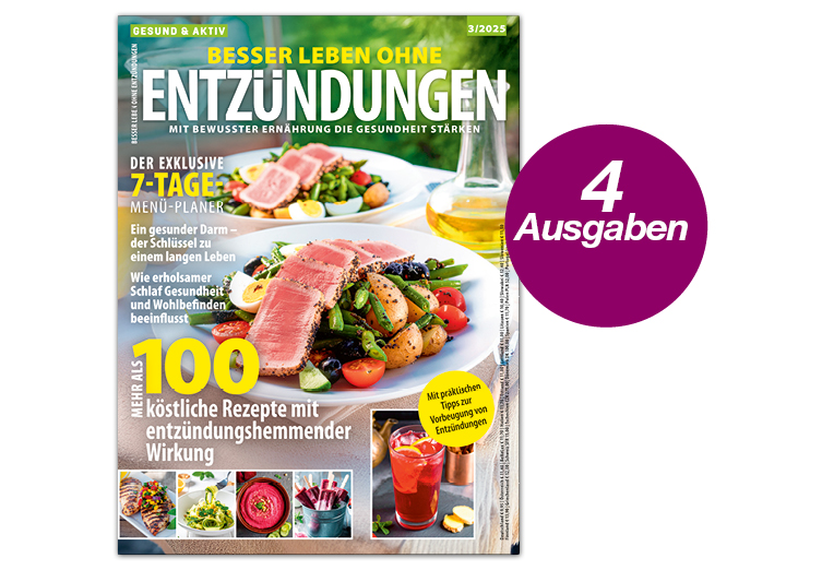 Gesund & Aktiv- 4 Ausgaben lesen Starkes Orange, gesunde Ernährung, 120 Rezepte, Immunbooster-Gerichte, modisch ansprechendes Cover