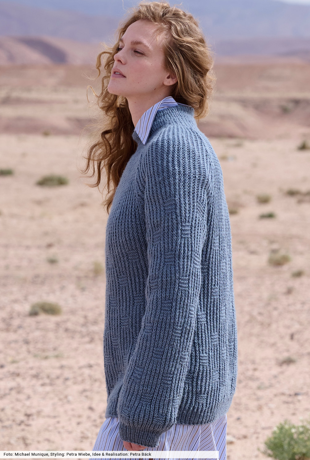 Modellansicht Bild 3: Raglanpulli im Patentmuster