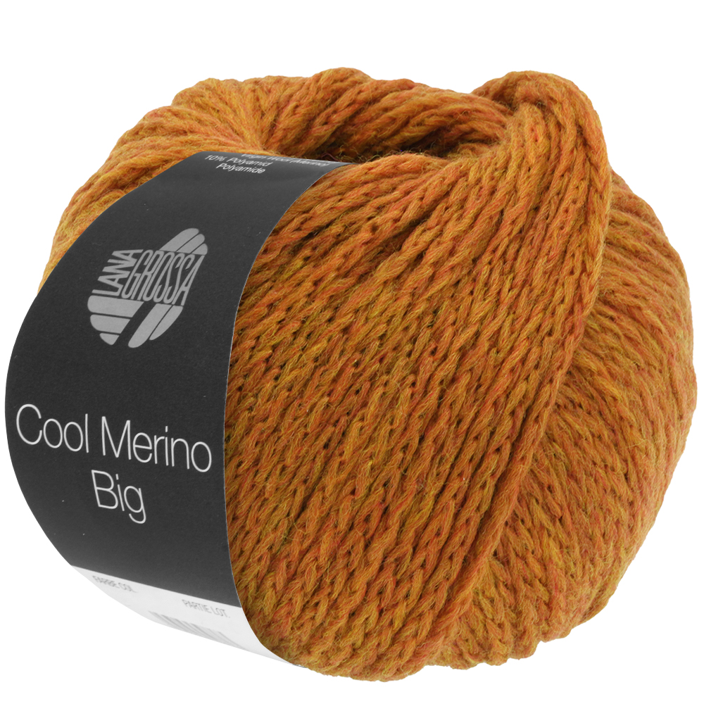 Garnbild Lana Grossa Cool Merino Big Rost Nr. 213