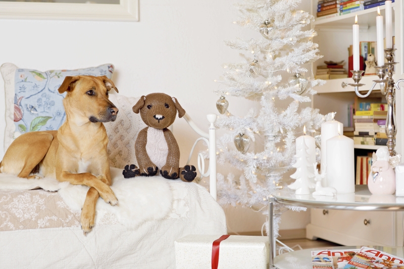 Selbstgemachter, gestrickter Hund in warmen Brauntönen neben natürlichem Hund. Stilvoll, individuell, handgefertigt.