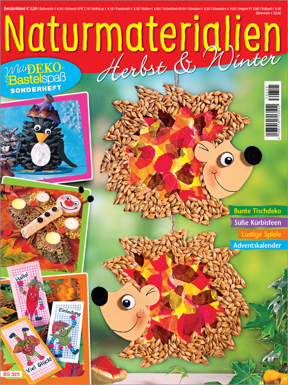 Mein Deko- und Bastelspaß Sonderheft BS 325 - Naturmaterialien - Herbst & Winter