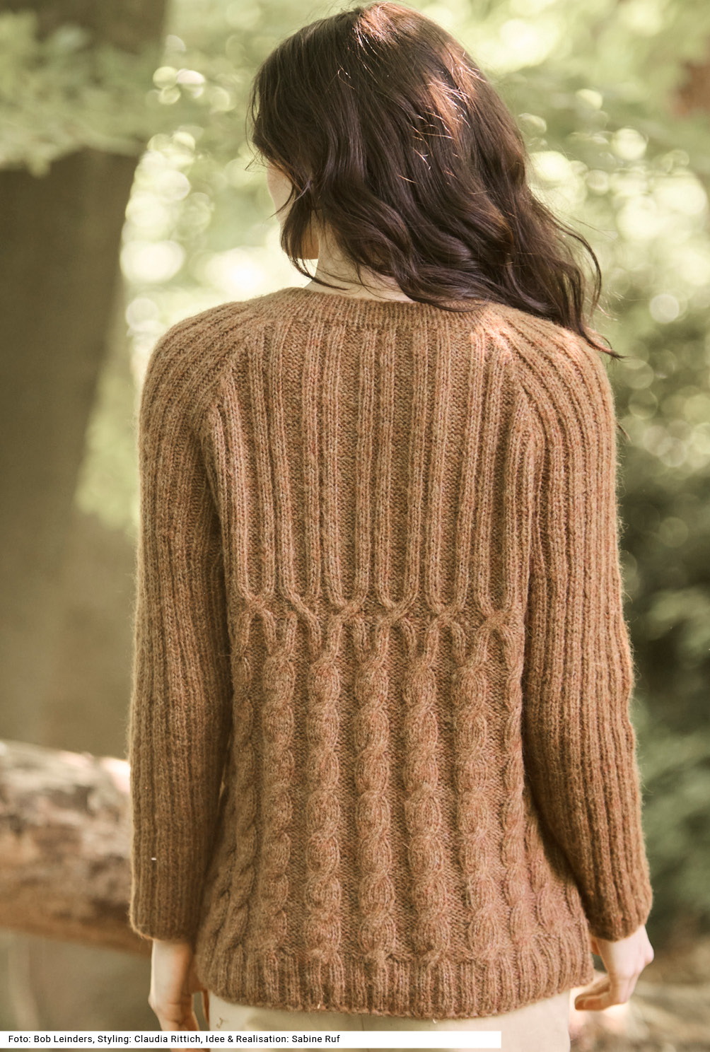 Modellansicht Bild 5: Raglanpulli mit Zopf- und Rippenmuster