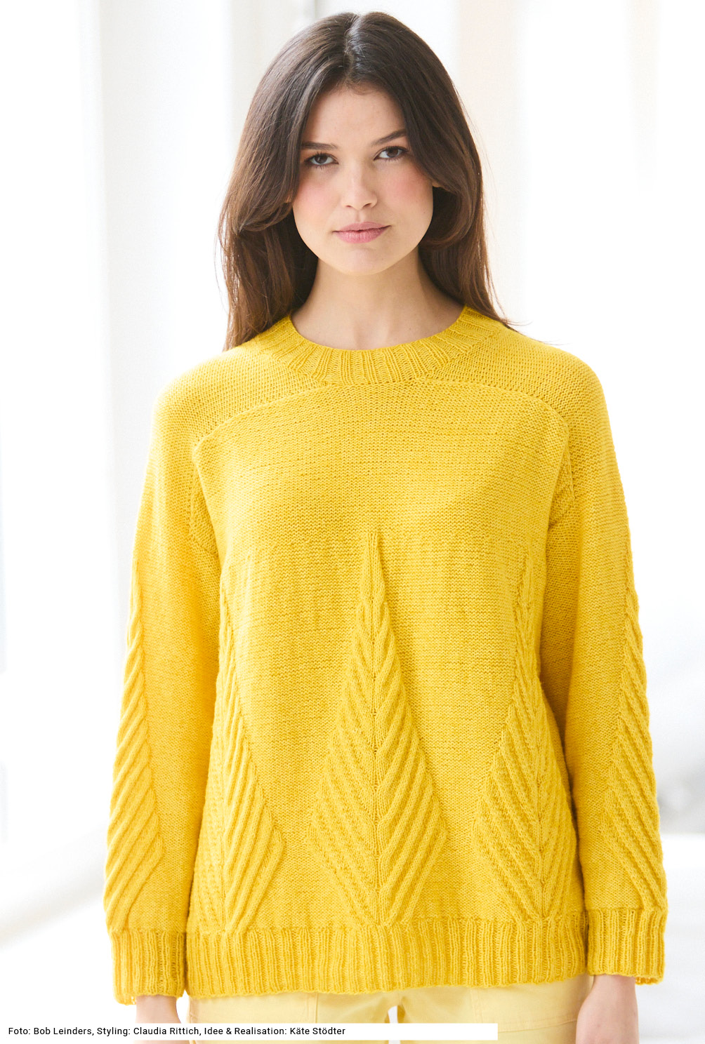 Modellansicht Bild 2: Musterpulli mit Schulterpasse