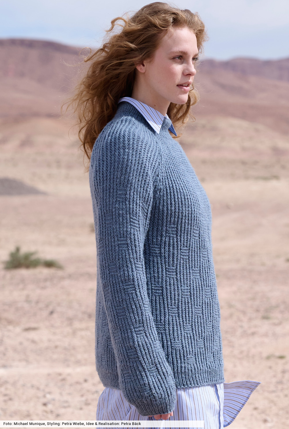 Modellansicht Bild 4: Raglanpulli im Patentmuster