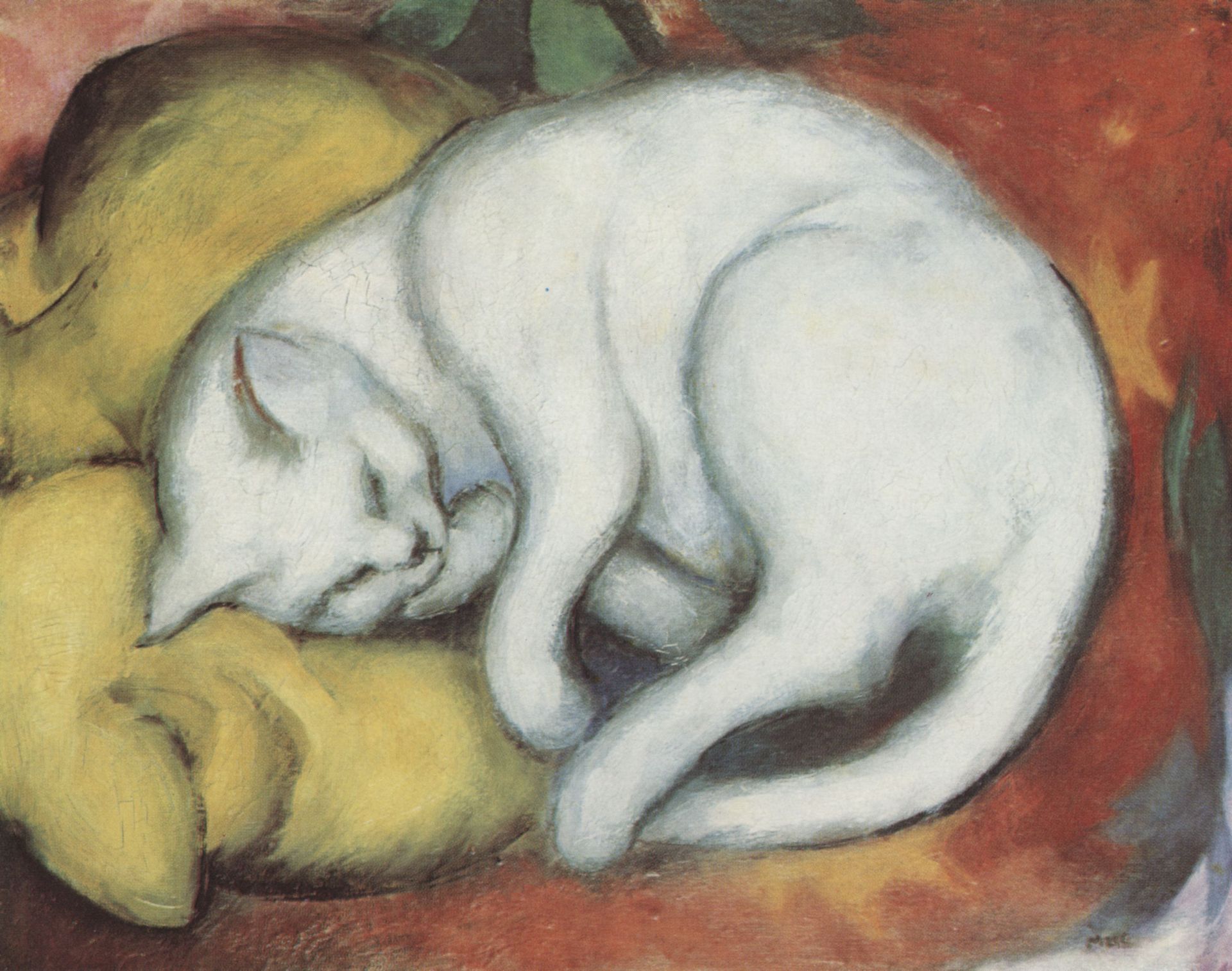 franz marc white cat franz marc white cat